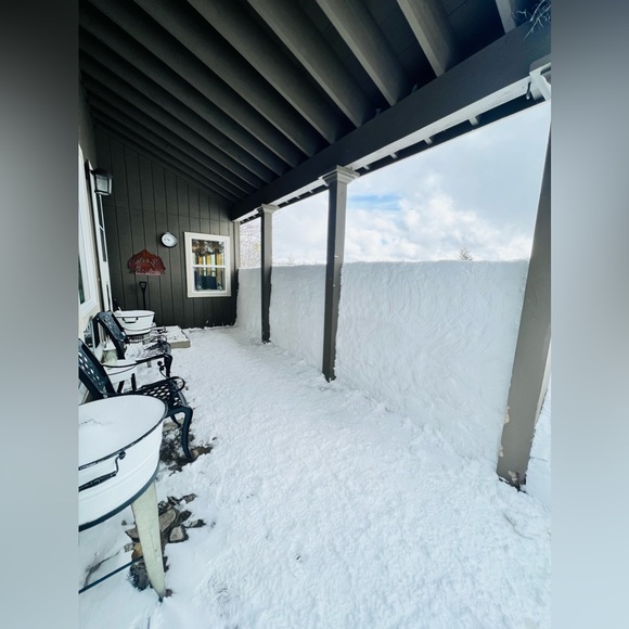 Meet your Posher, Amy - Picture 12 of 12